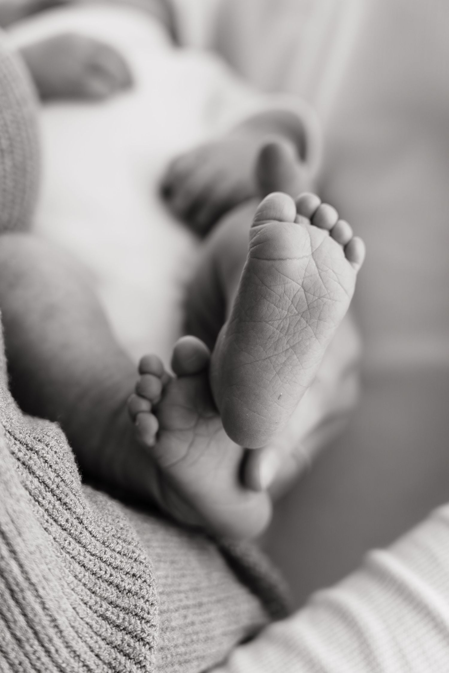Newborn-kuvaus studiossa Oulussa – yksityiskohdat kuvauksessa