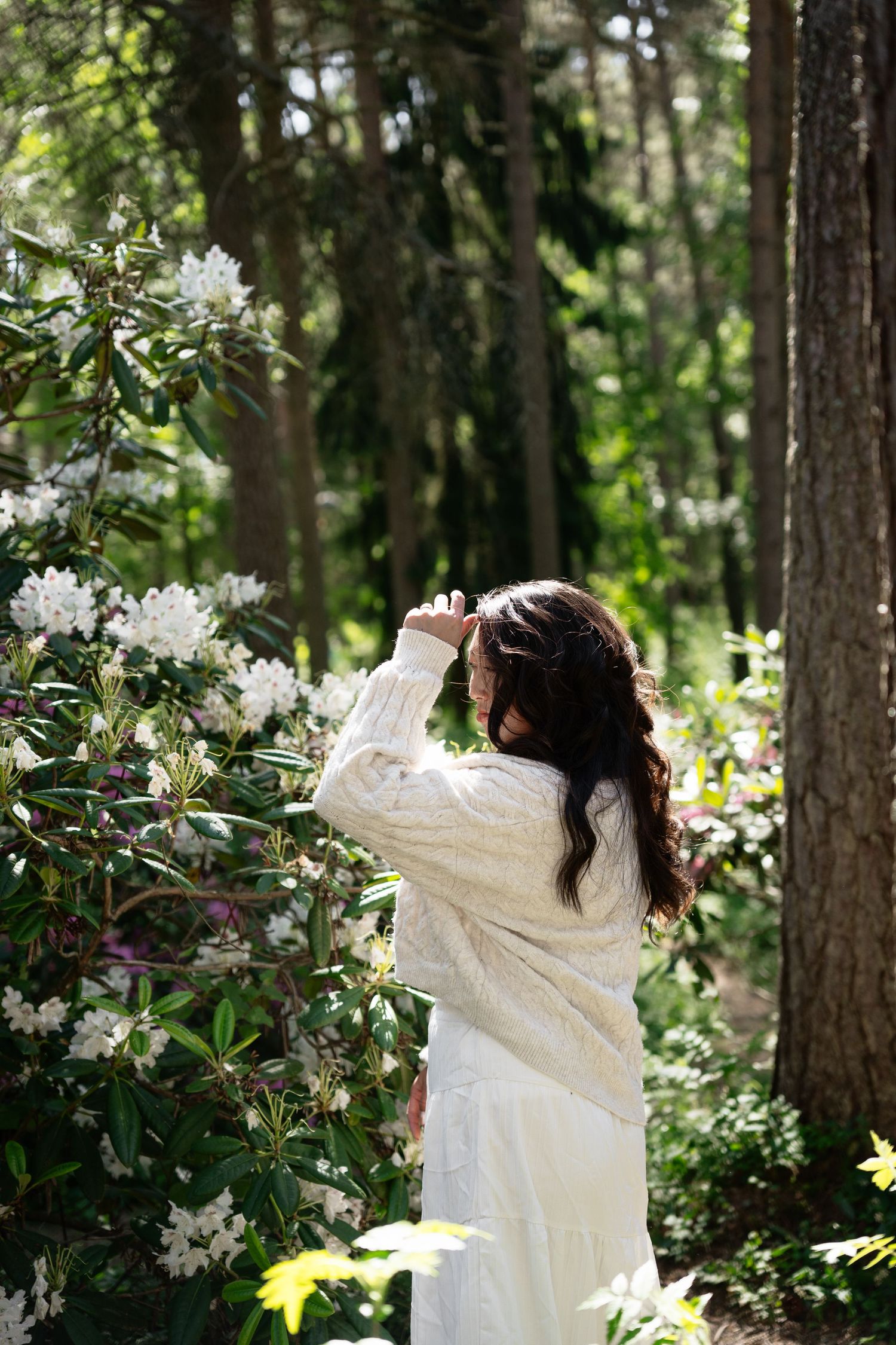 Woman in white dress photographing white rhododendron blooms in a sunlit forest garden.