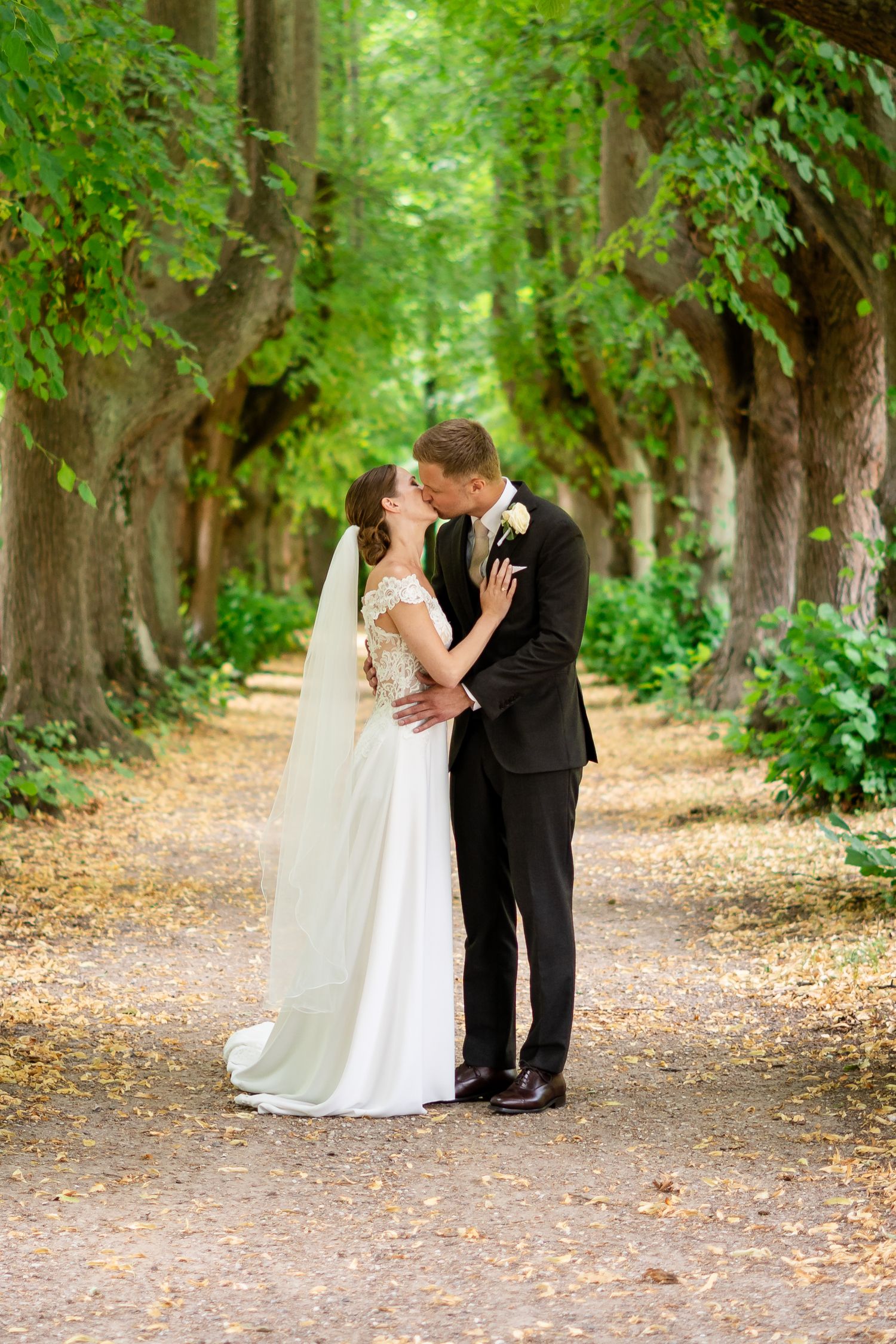 Bride and groom share a romantic kiss on a tree-lined path, bride in white gown with veil, groom in black suit.