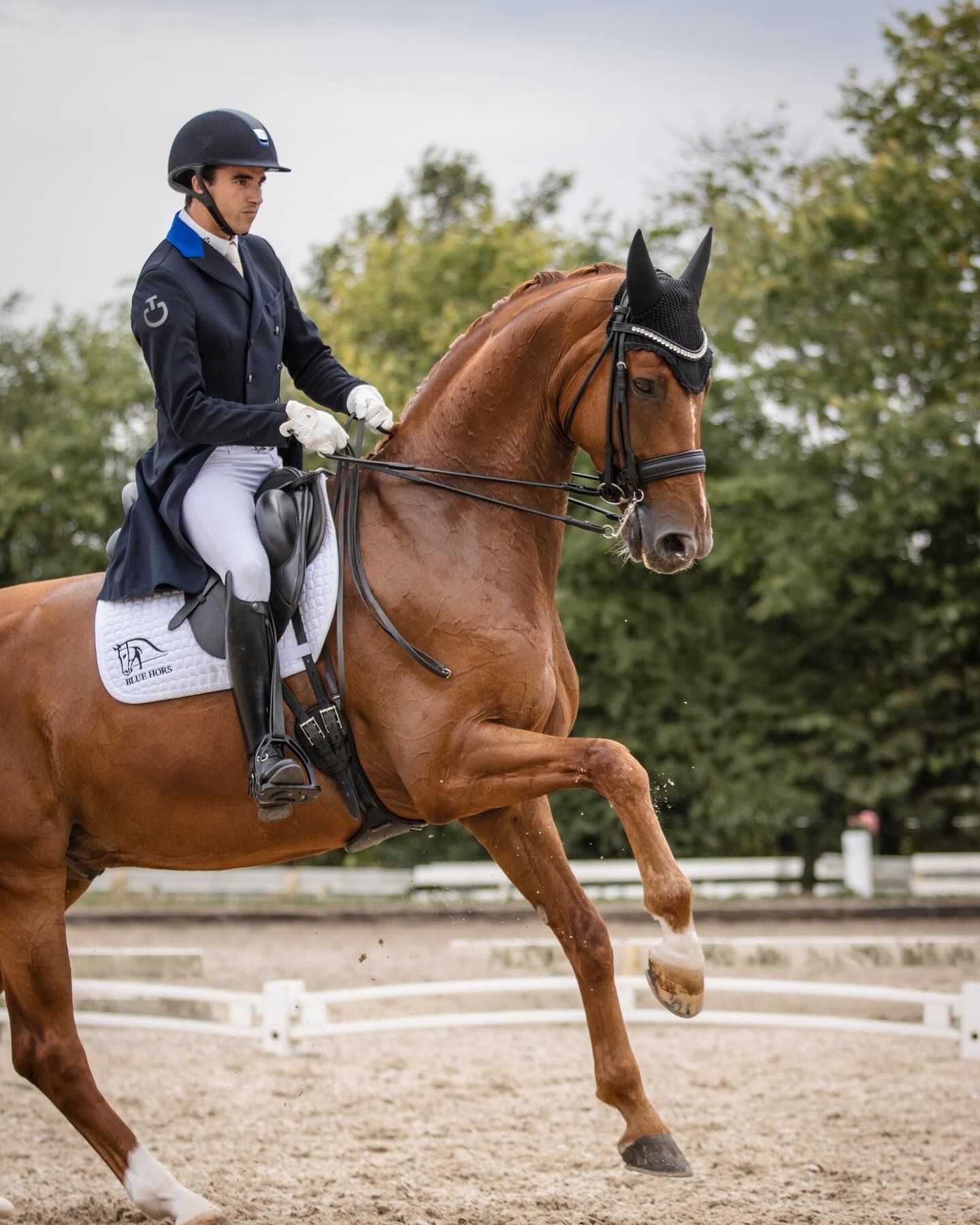 Fresia Visuals Equine