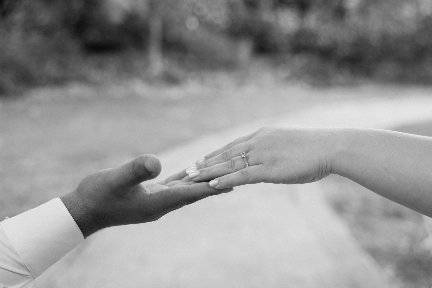 Couples engagement session at the Lewis Ginter Botanical Garden in Richmond Virginia.