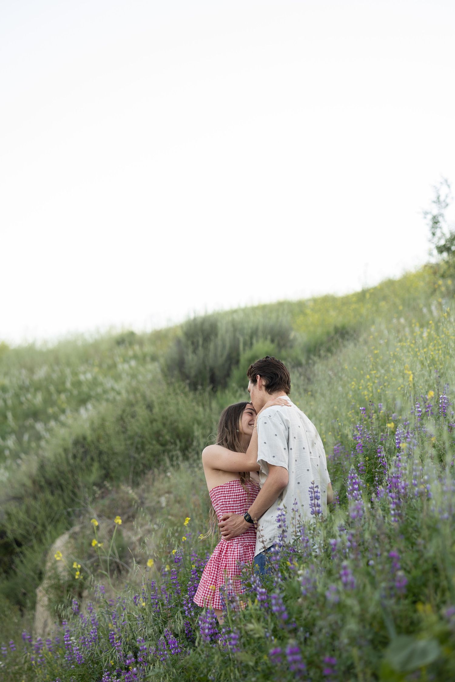 Couple embracing in a field of purple lupine flowers at sunset.