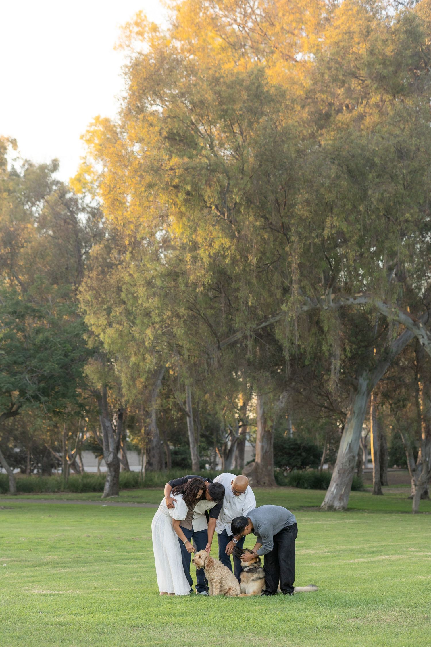 Family gathering for photos in a park with golden trees at sunset.