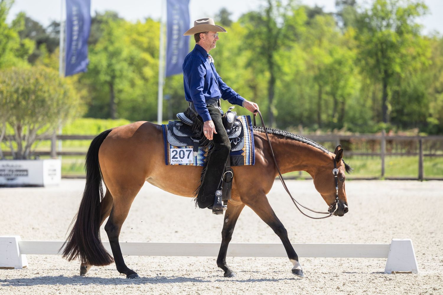 Rider in blue jacket and hat on bay horse numbered 207 competing in equestrian event outdoors.