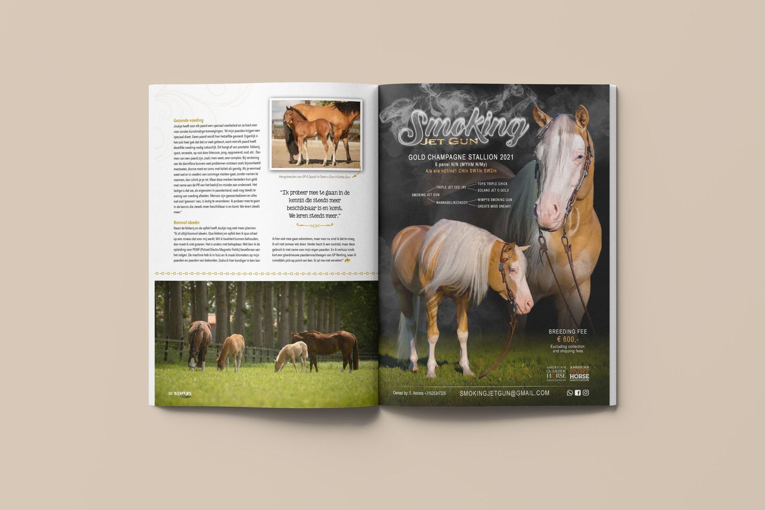 Open book pages showing equestrian photography and text layouts with horse images in a magazine spread format.