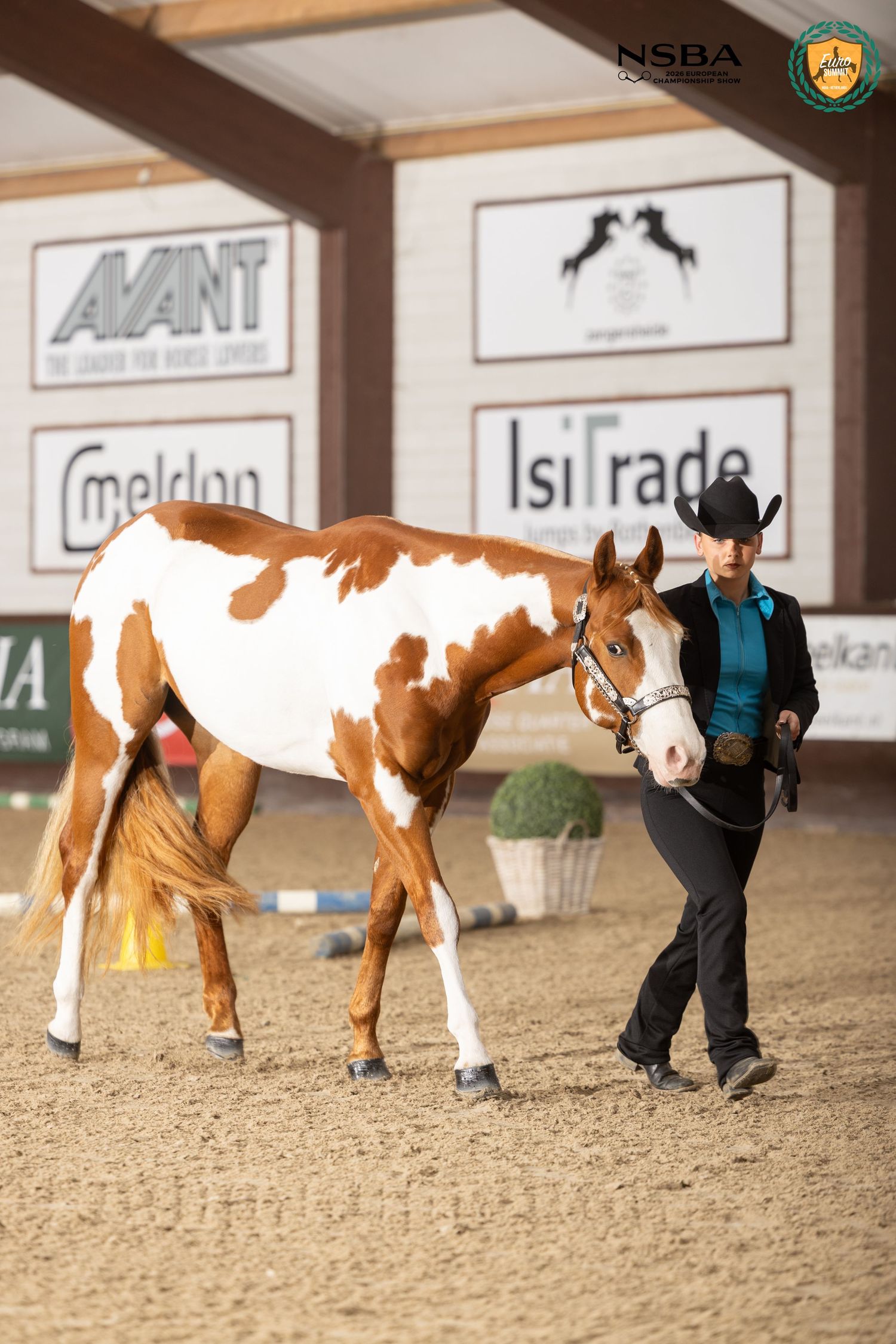 A woman in western attire leads a chestnut and white paint horse in an NSBA indoor arena competition.