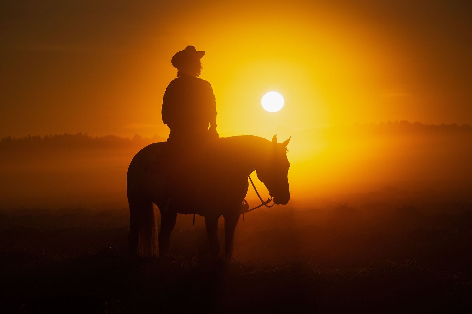 Silhouette of horse and rider against dramatic orange sunset.
