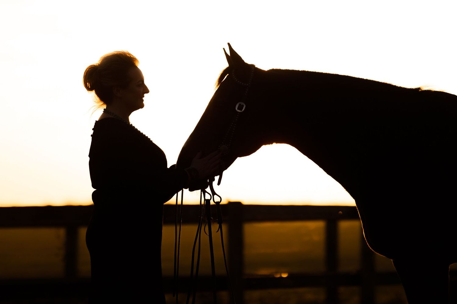 Dramatic silhouettes of horse and handler against sunset sky.