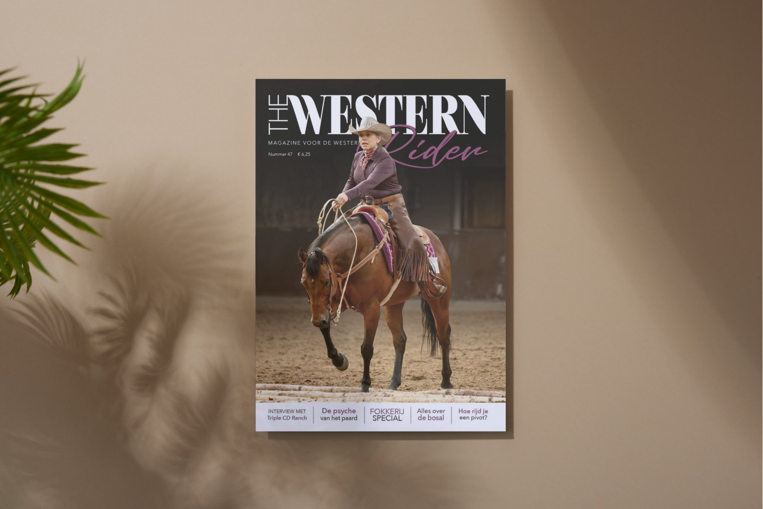 Western horse riding magazine covers displayed against a tan wall.