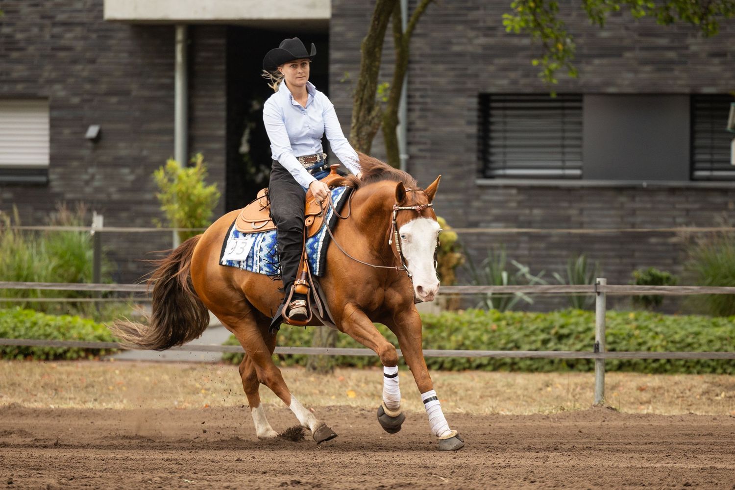 A paint horse and rider perform in a western riding competition.