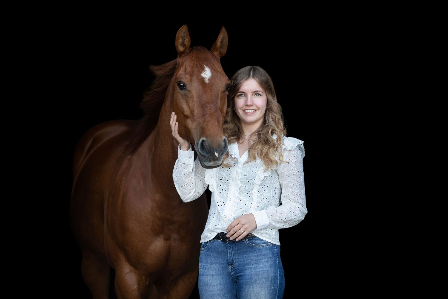 Beautiful chestnut horse poses against black background in dramatic studio lighting.