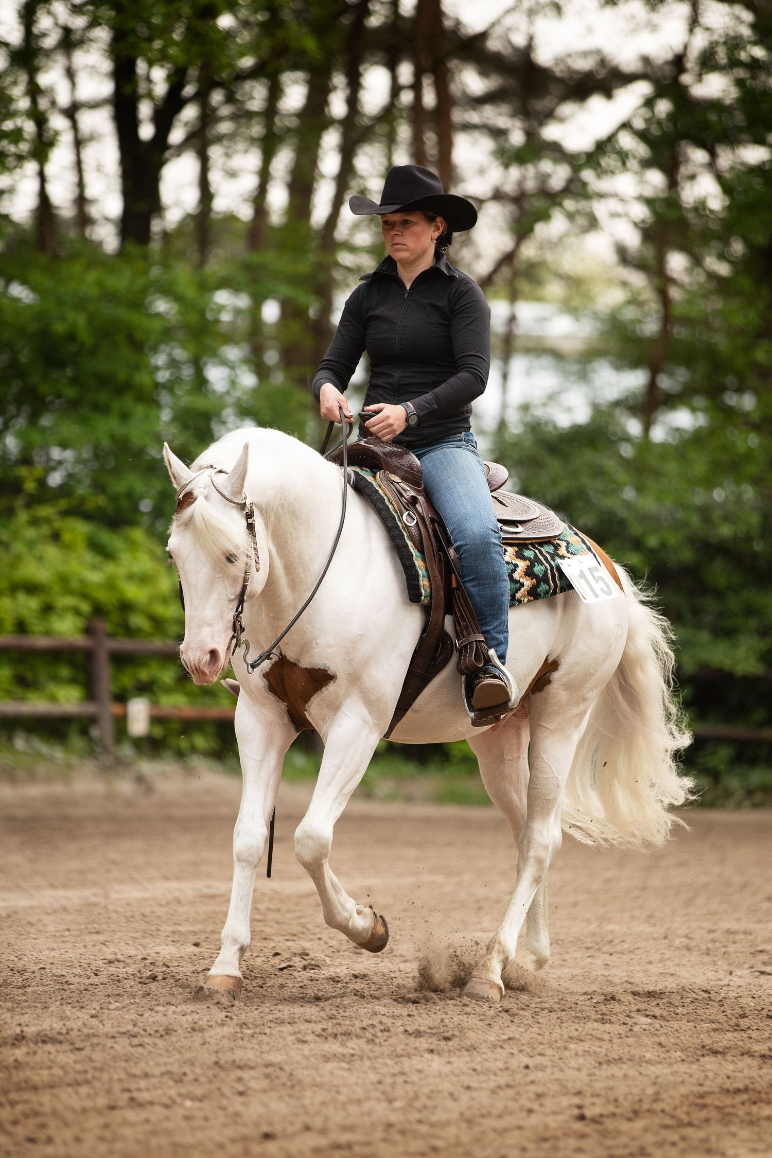 White horse performing dressage movements in sandy arena.
