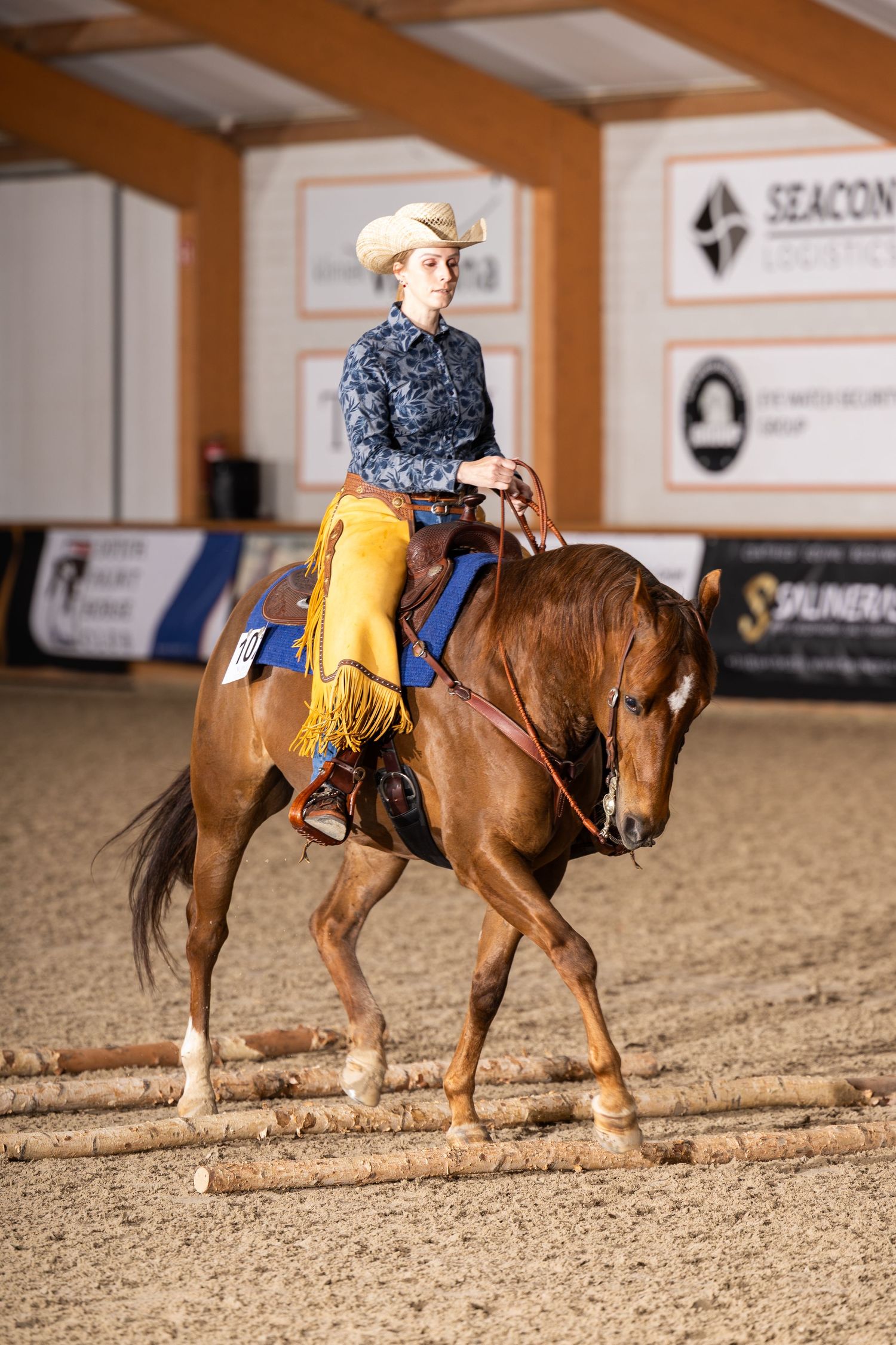 Western rider guiding horse through ground pole exercises in indoor arena.