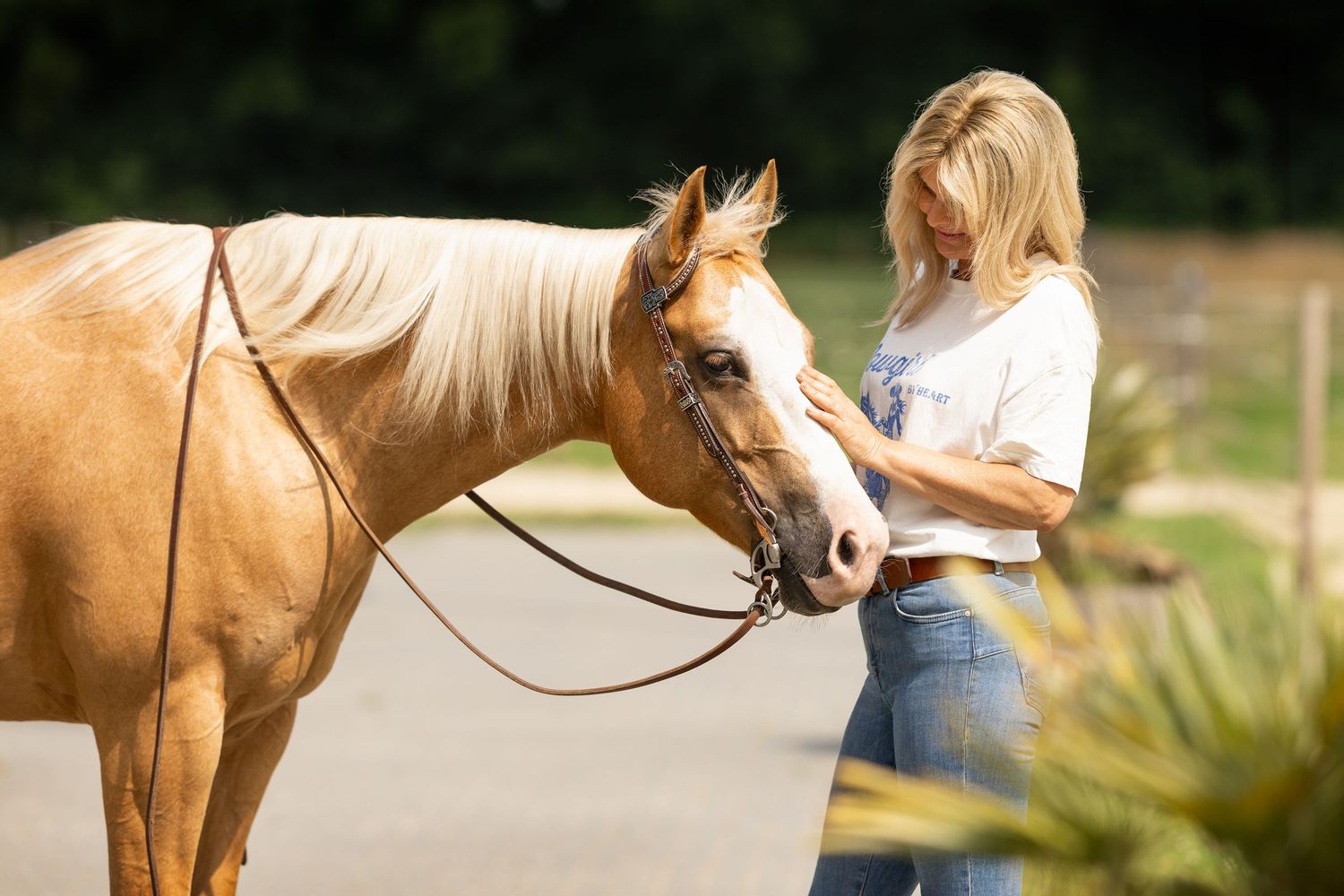 A palomino horse with light mane receives attention and care in an outdoor setting.