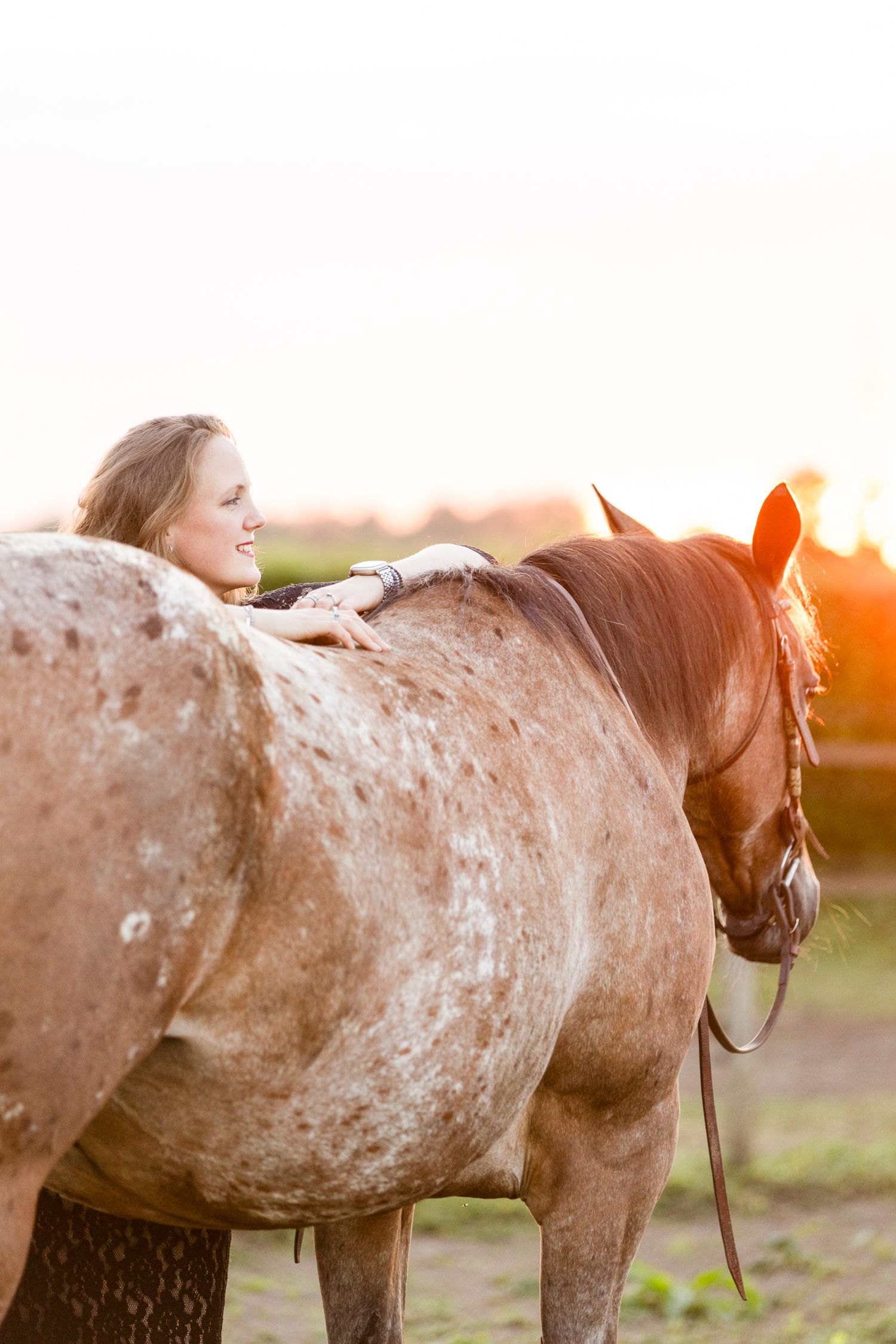 A dappled horse with white spots stands in golden sunlight during a photo session.