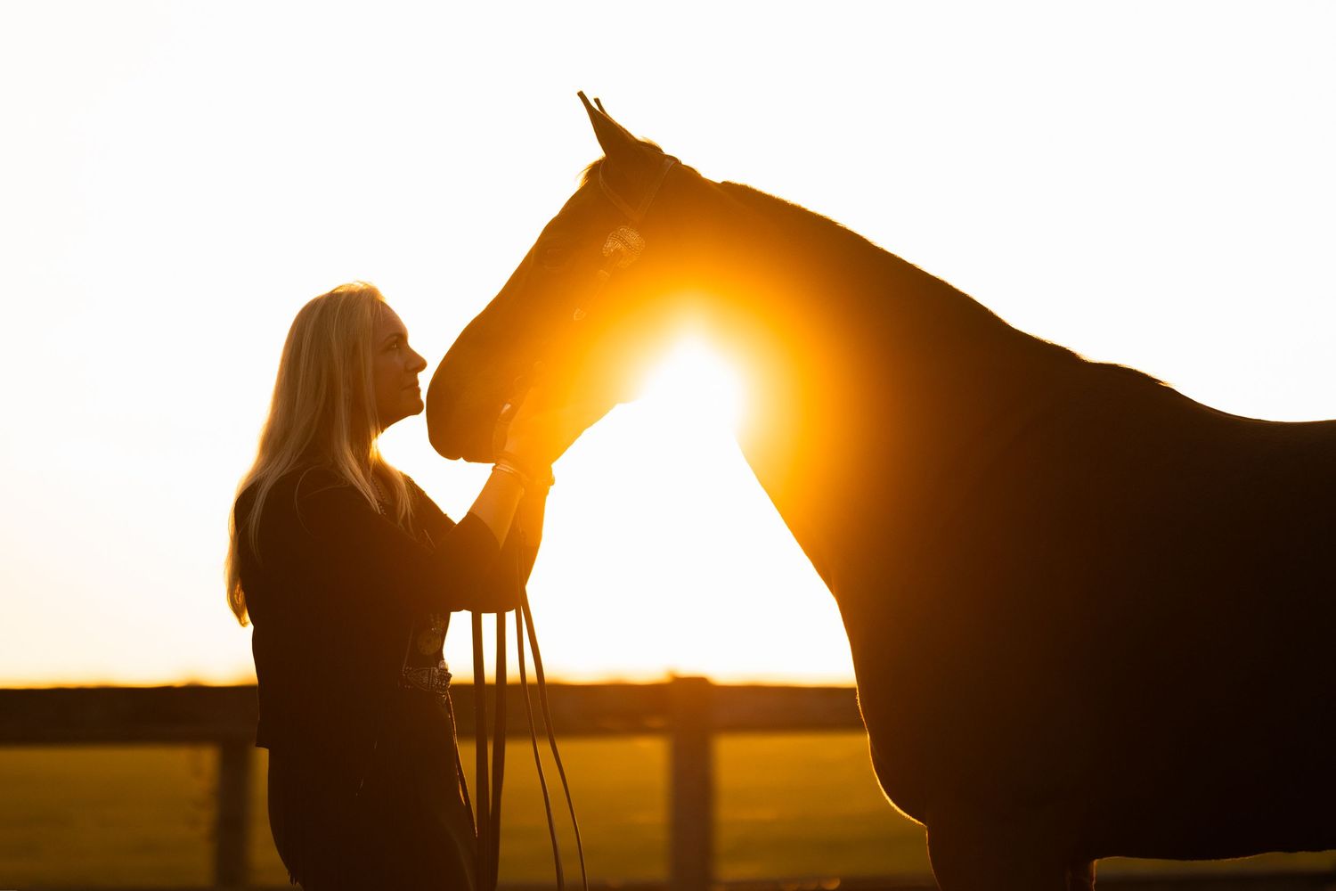 Golden sunlight silhouettes of horse and handler creating dramatic shadows.