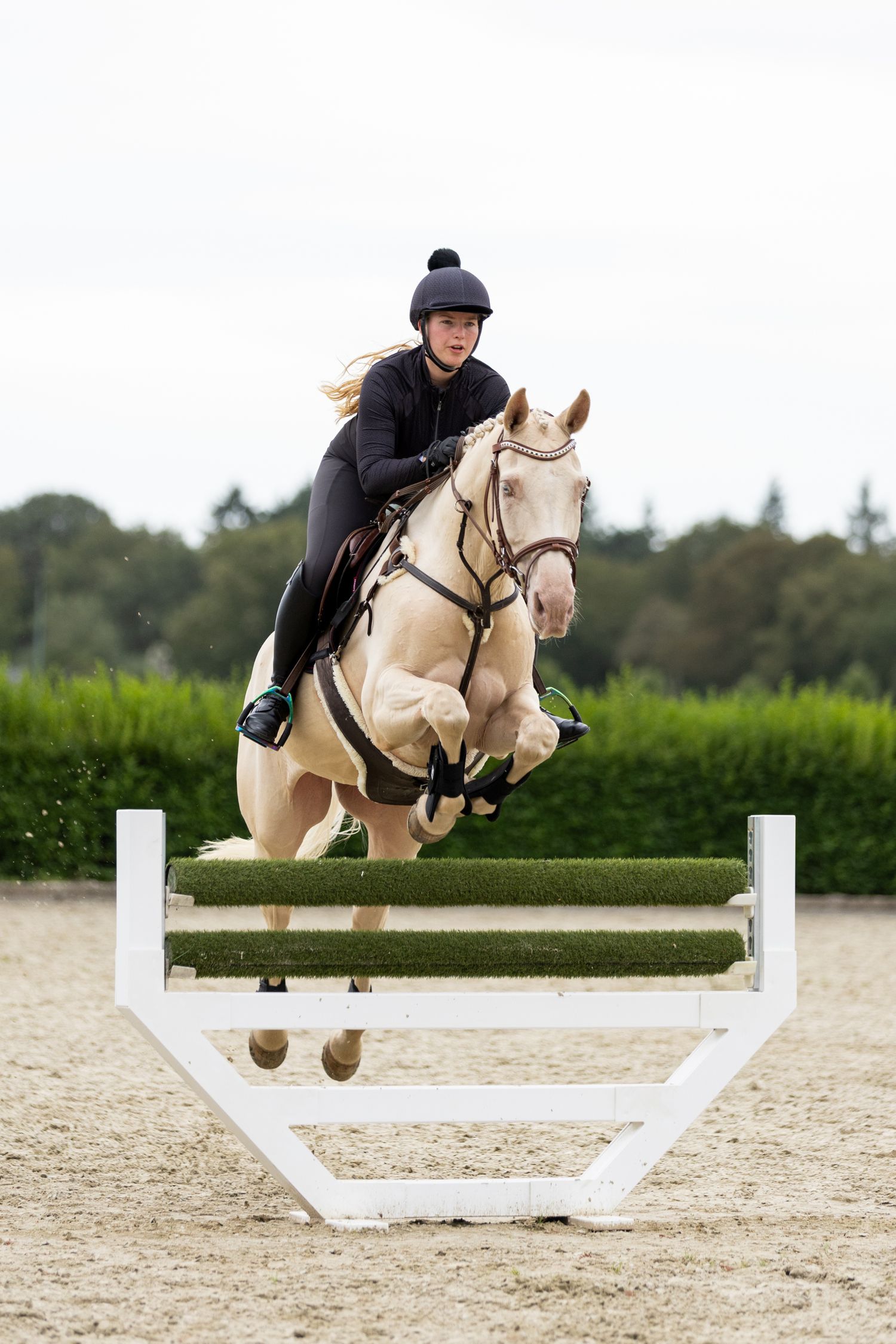 A cream-colored horse and rider clearing a white show jumping fence in an arena.