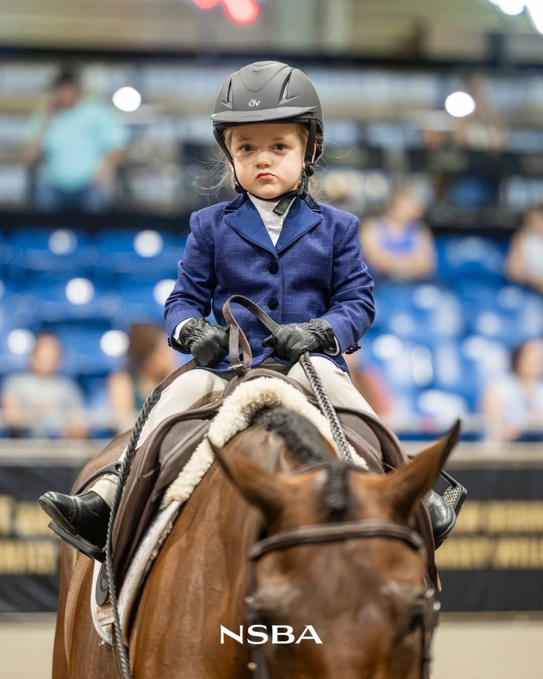 Young child in blue riding jacket and helmet competing on a chestnut horse at an NSBA equestrian show.