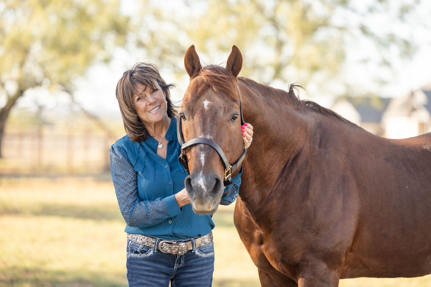 Person in blue denim shirt tenderly petting brown horse in sunny outdoor setting.