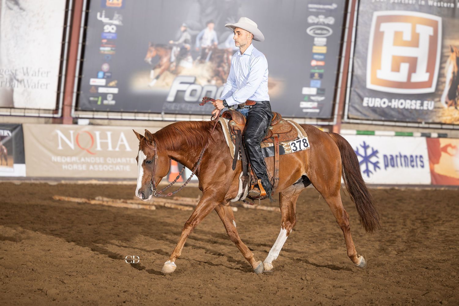 A rider in a white hat on a chestnut horse competes in a reining event at an indoor arena with sponsor banners.