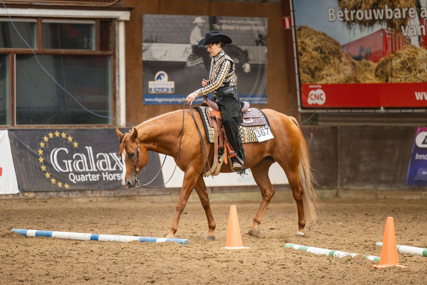 Rider on a chestnut horse competing in a Western reining event at Galaxy Quarter Horse indoor arena.