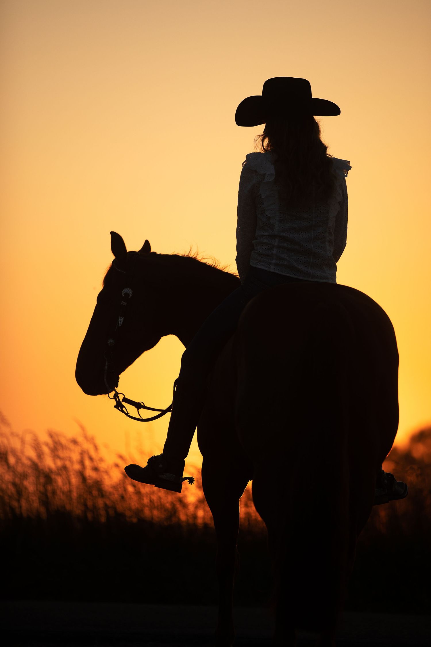 Silhouette of a horse and rider against a vibrant orange sunset sky.