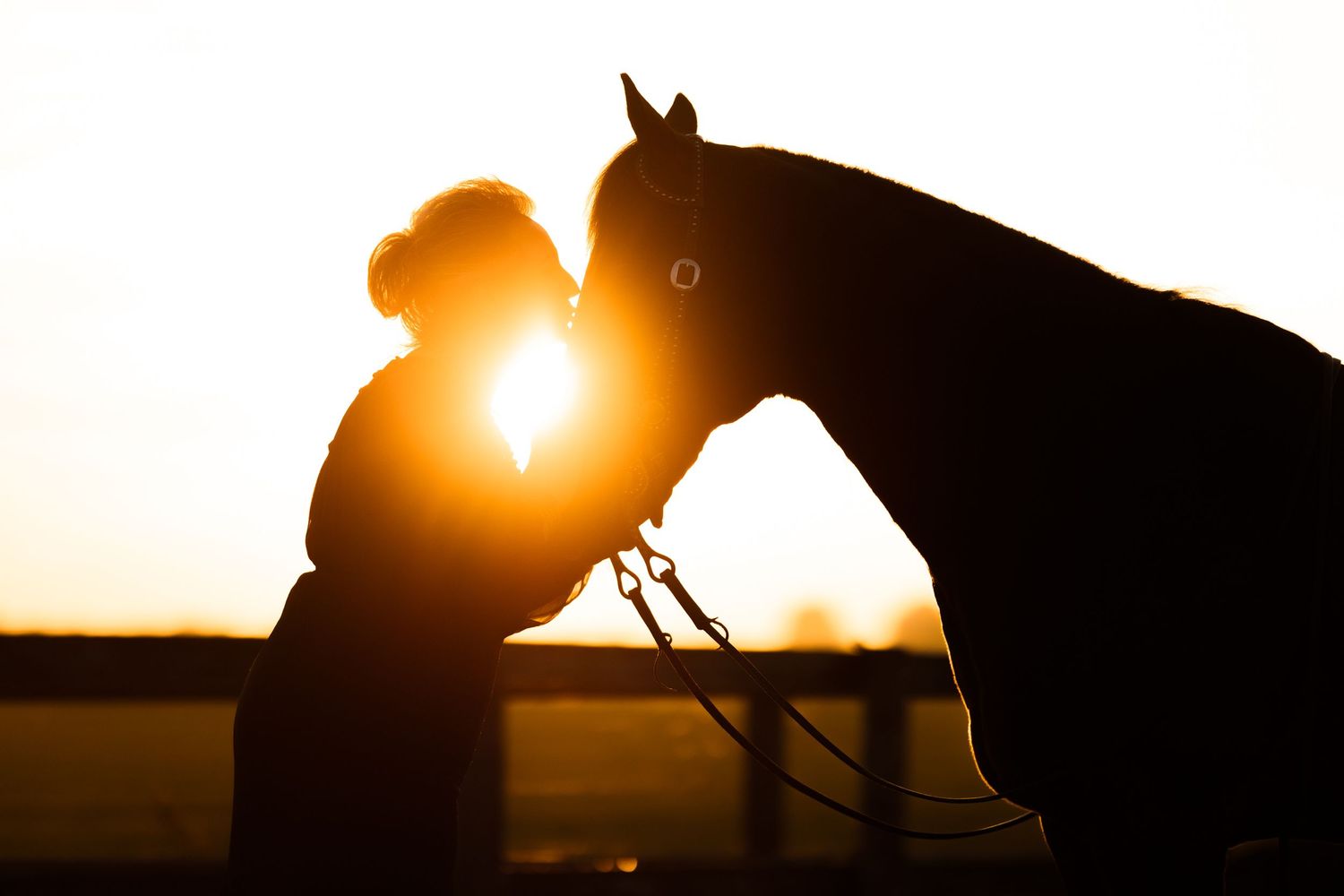 Artistic silhouette of horse and person at sunset with golden backlighting.