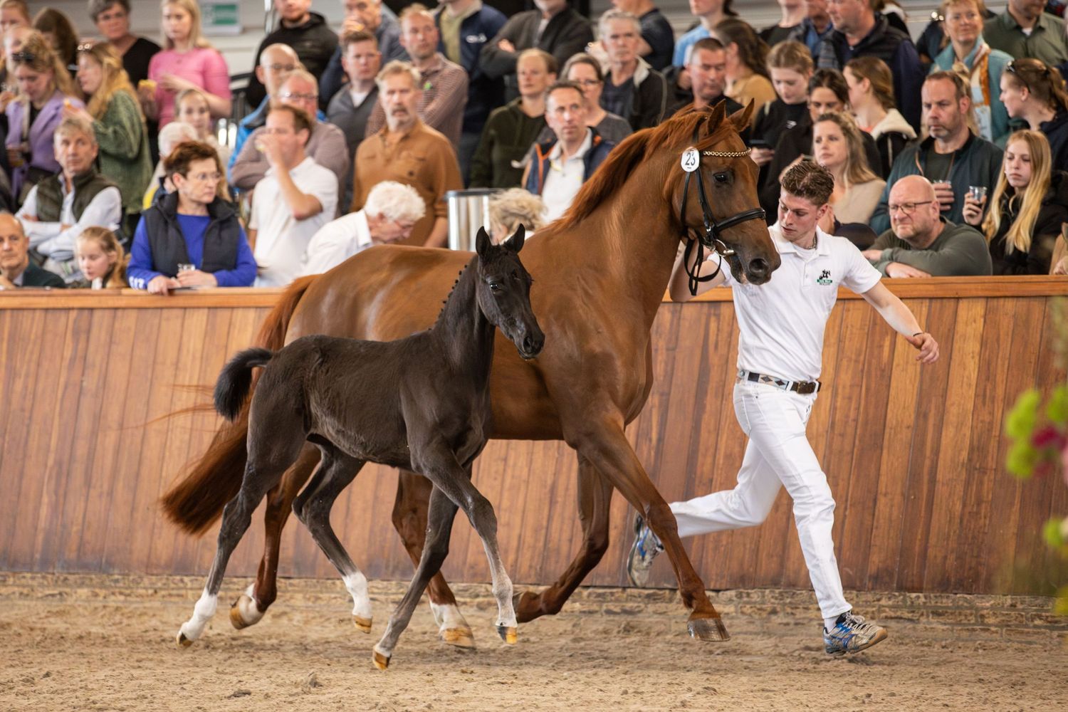 Sequence of action shots showing people running alongside horses in a competitive sport event at an arena.