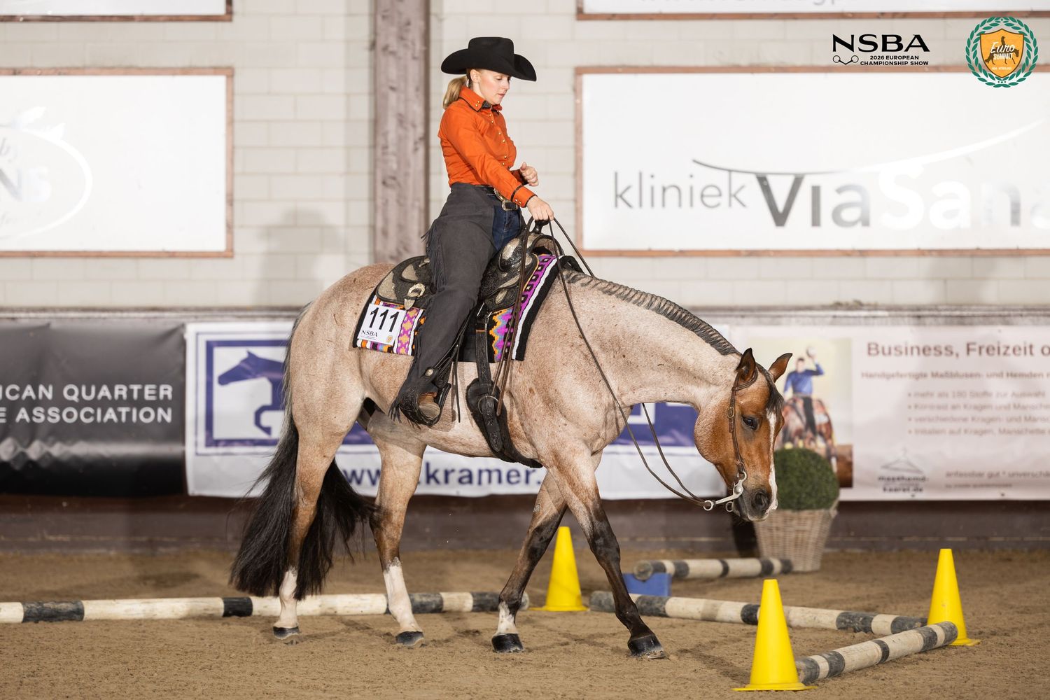 Rider in orange shirt on a buckskin horse navigating orange cones at an NSBA equestrian competition indoors.