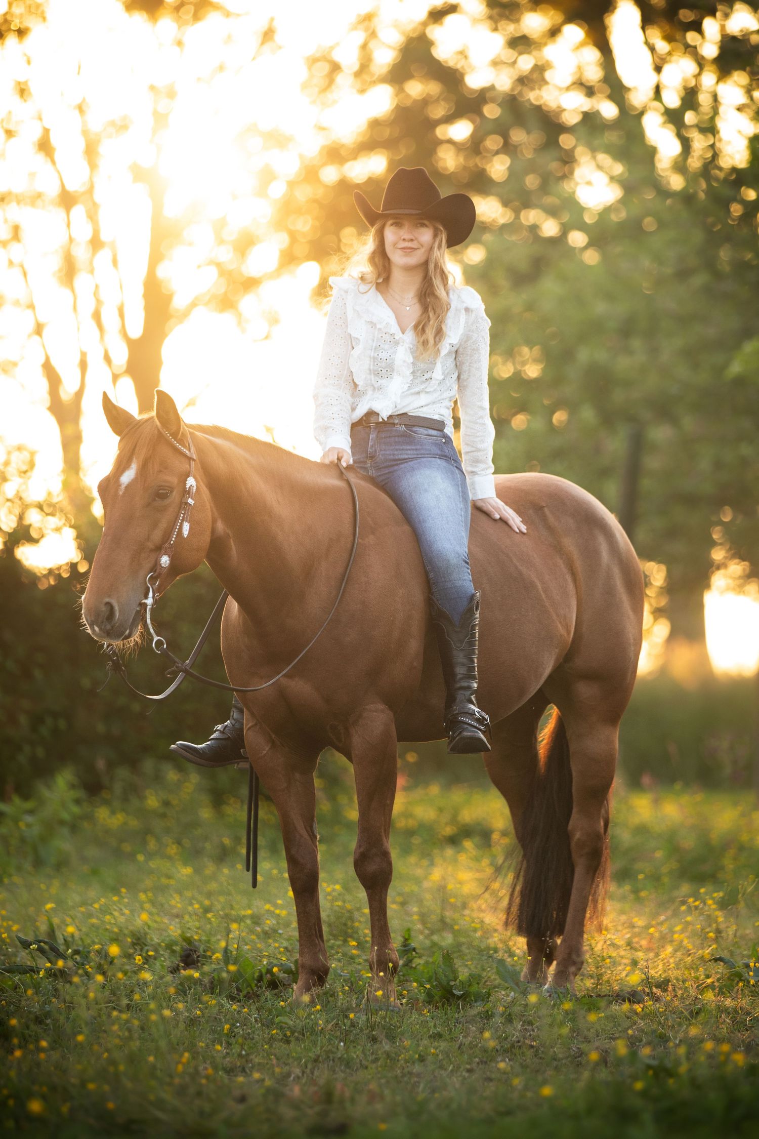 A brown horse and rider in western attire stand in a sunlit meadow during golden hour.
