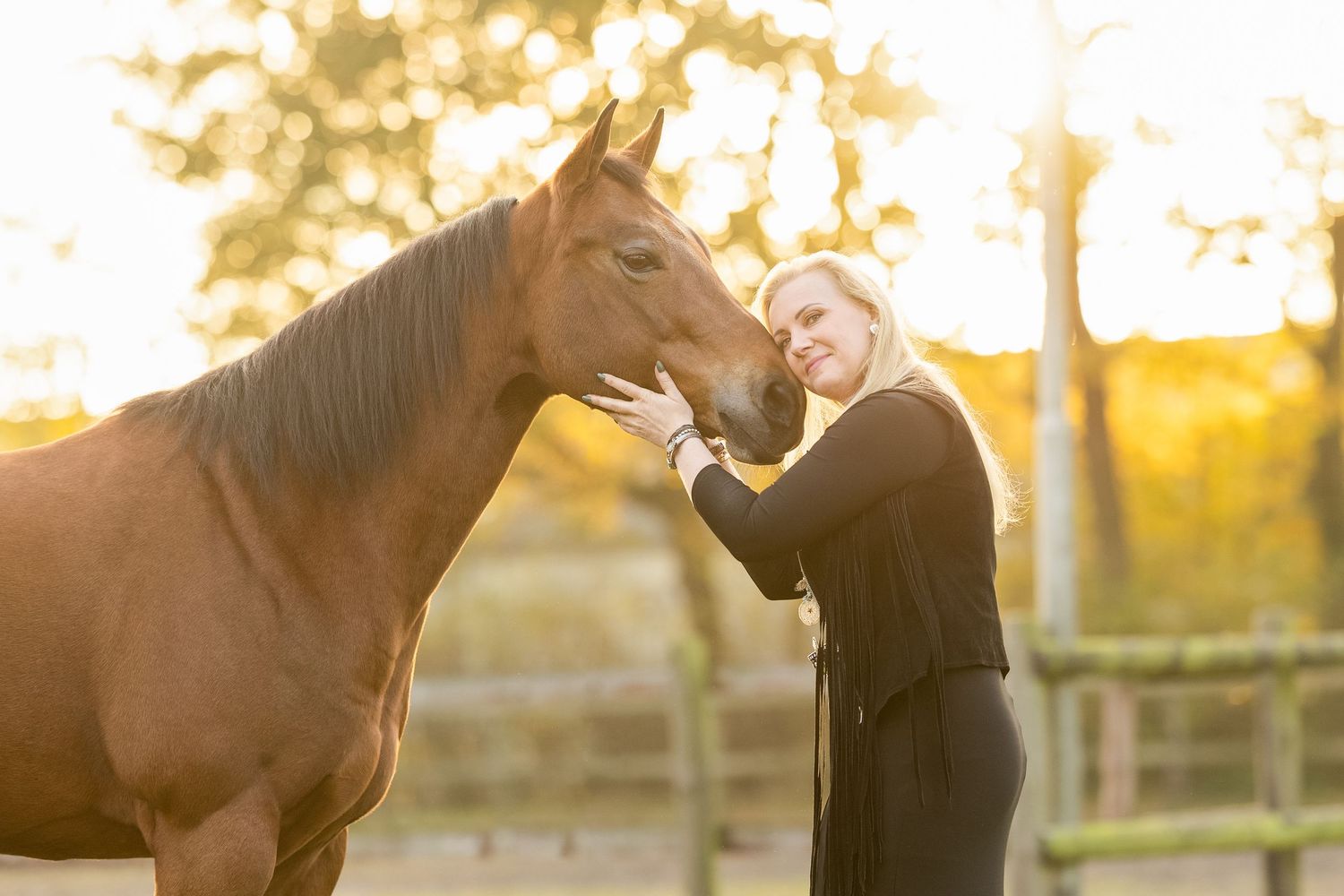 Woman in black dress poses with brown Quarterhorse in golden sunset light on grassy field.