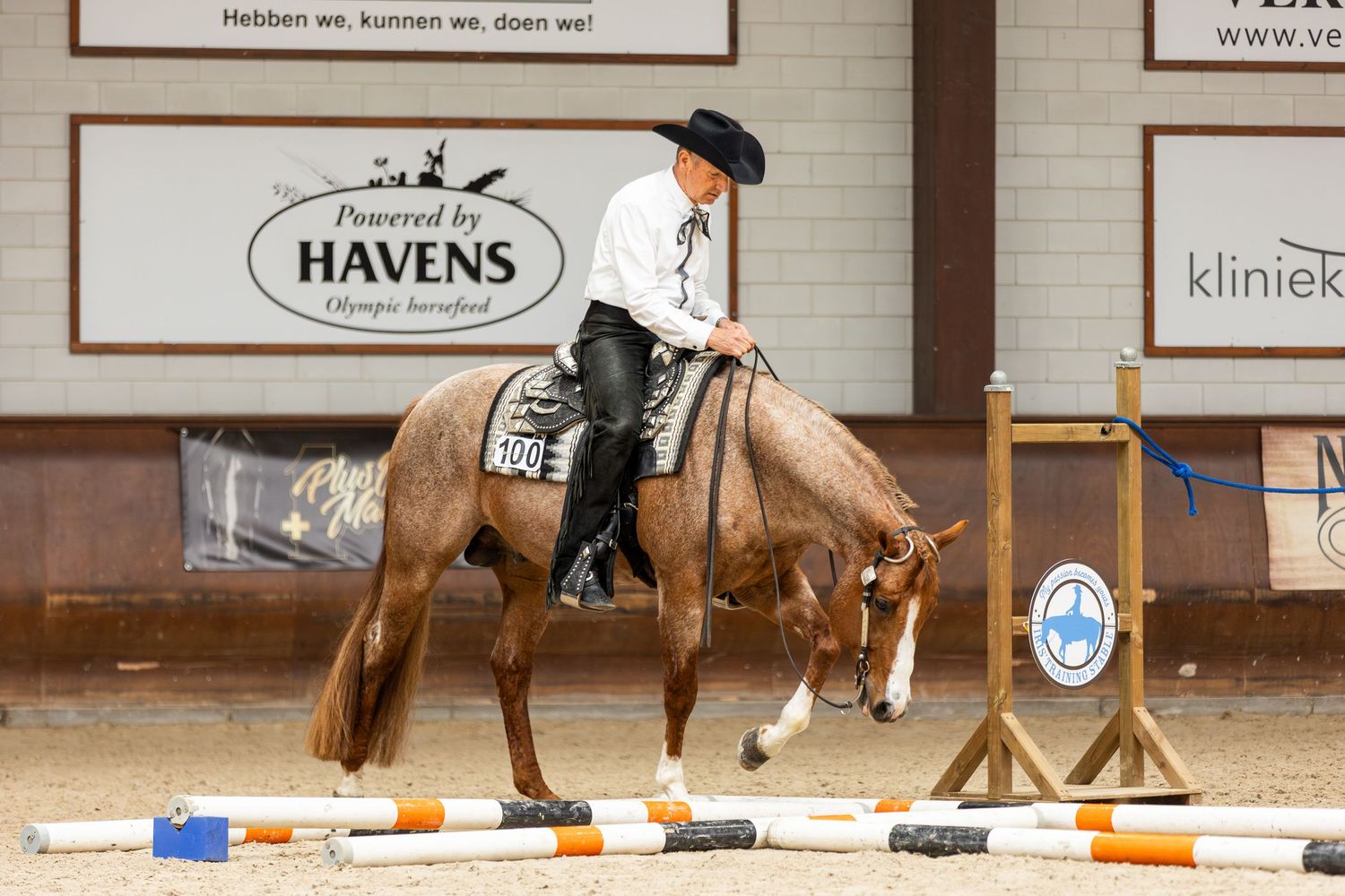 Horse practicing dressage movements near ground poles in an indoor arena setting.
