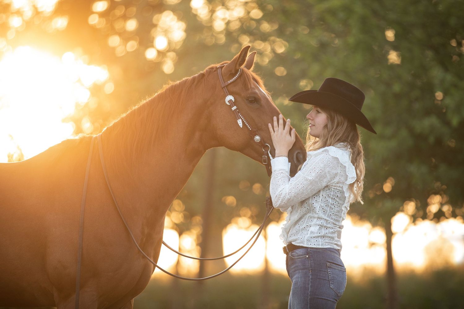 Horse and rider silhouetted against dramatic sunset with bokeh lighting effects.