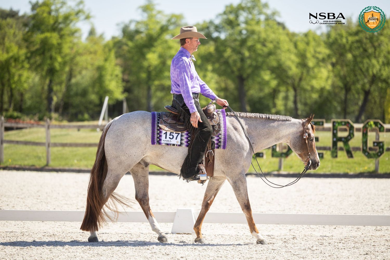 Rider in purple shirt on gray horse numbered 157 competing at NSBA equestrian show outdoors.