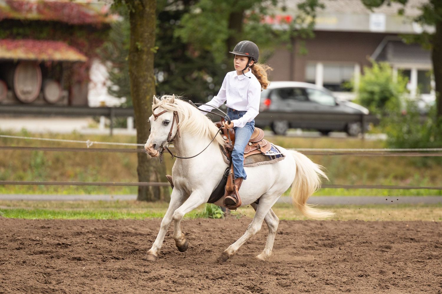 White horse and rider performing a western pattern in an outdoor arena with trees in background.