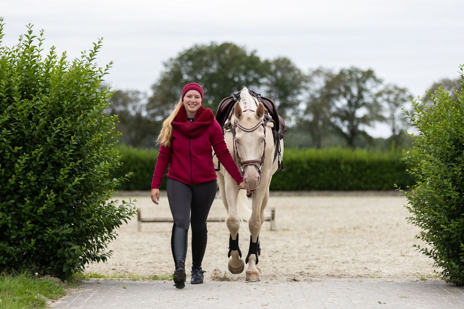 A light-colored horse and rider walk along a path bordered by green hedges.