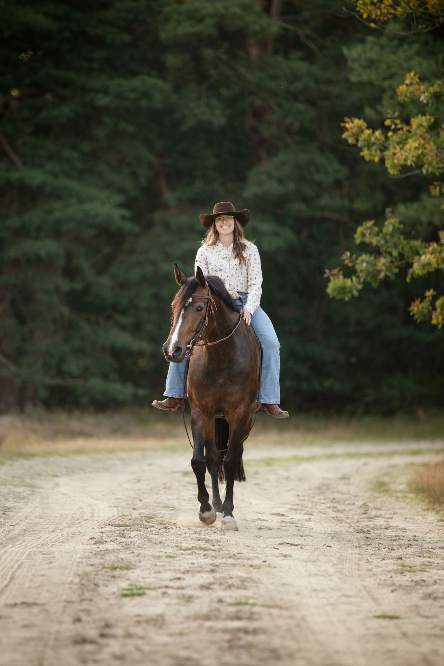Rider guides bay horse down scenic forest trail during autumn.