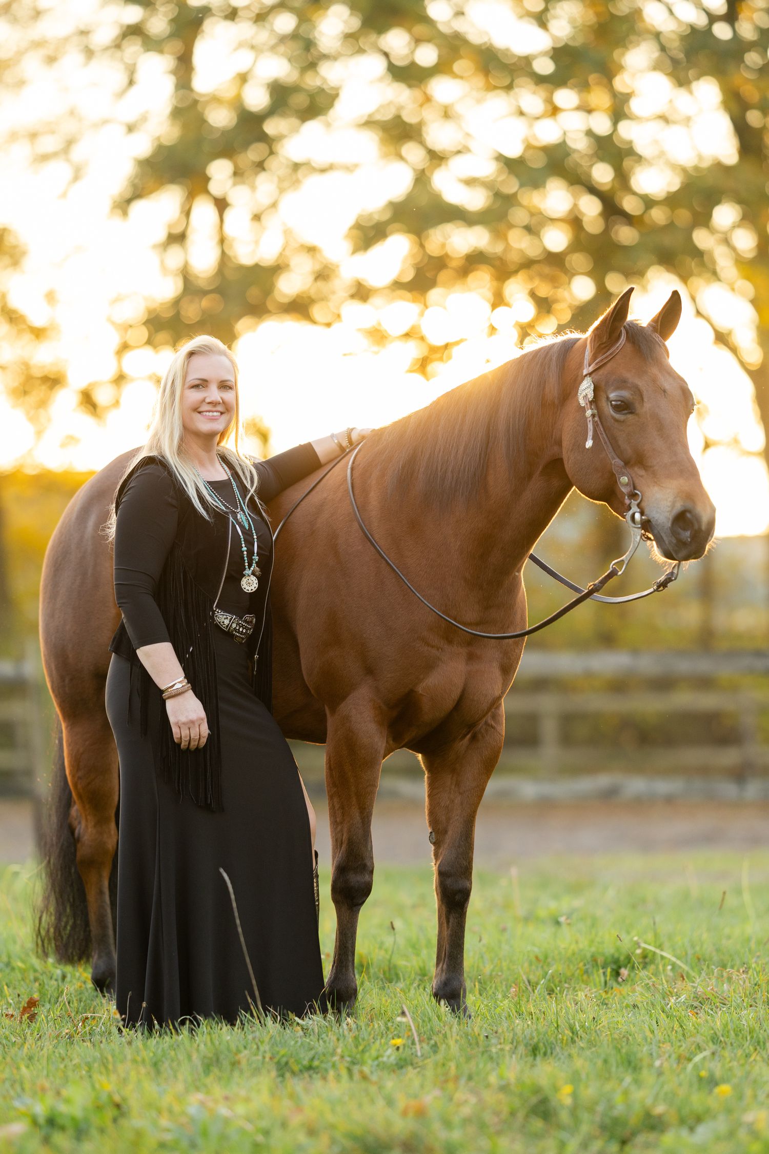 Beautiful brown horse standing in a grassy field during golden hour.