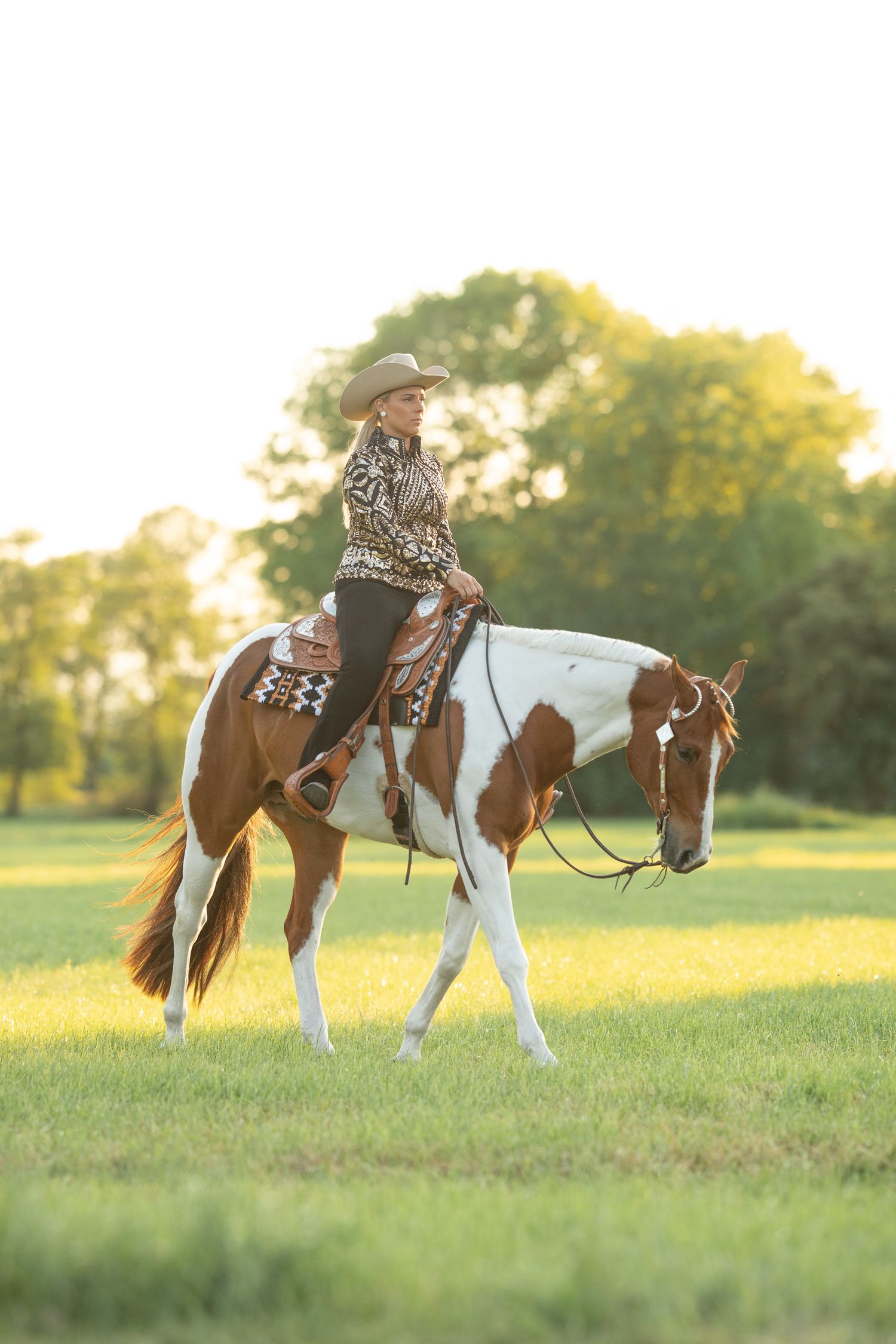 A paint horse and rider stand in a golden-lit field during sunset.
