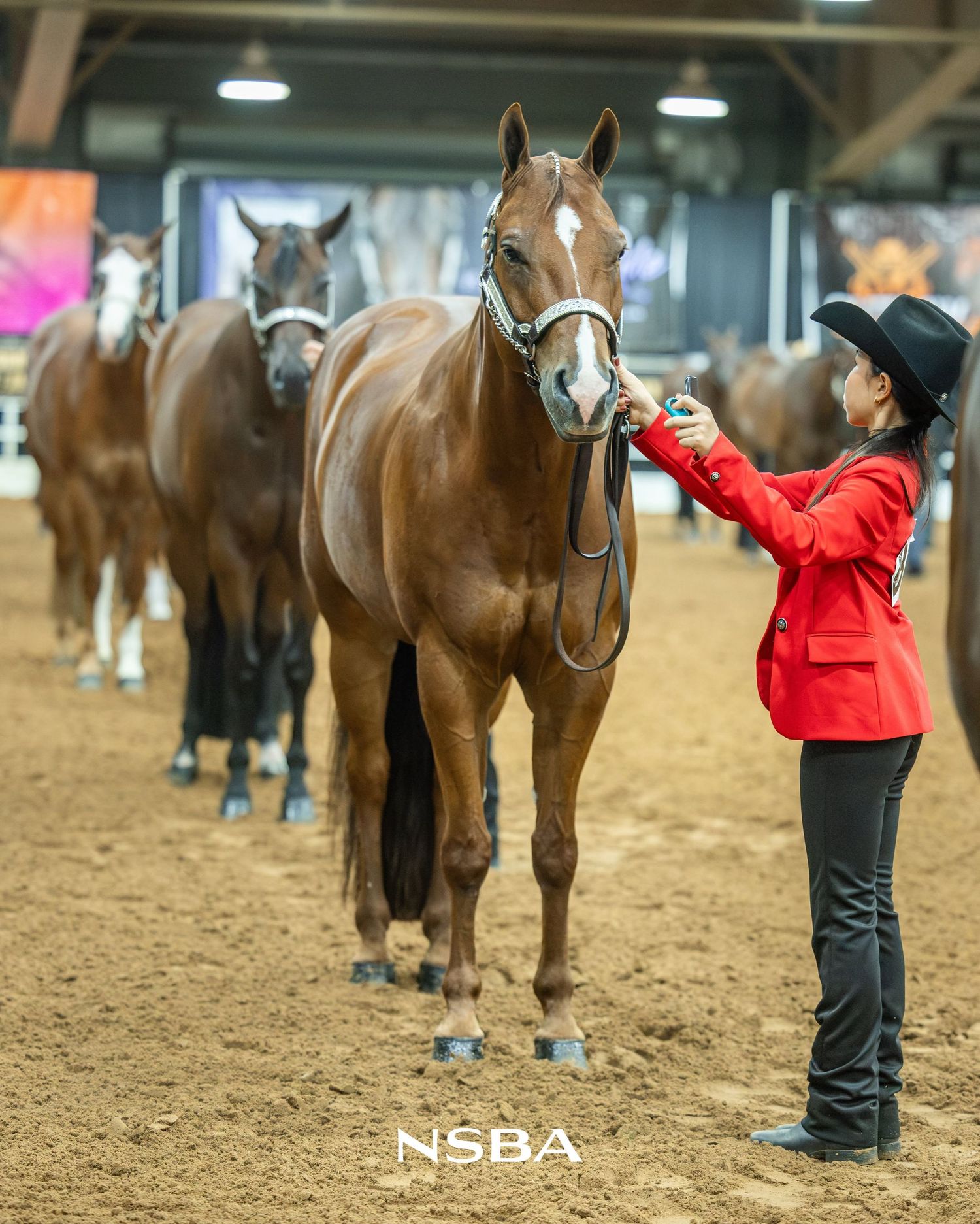 Handler in red jacket leads chestnut horse at the NSBA World Show