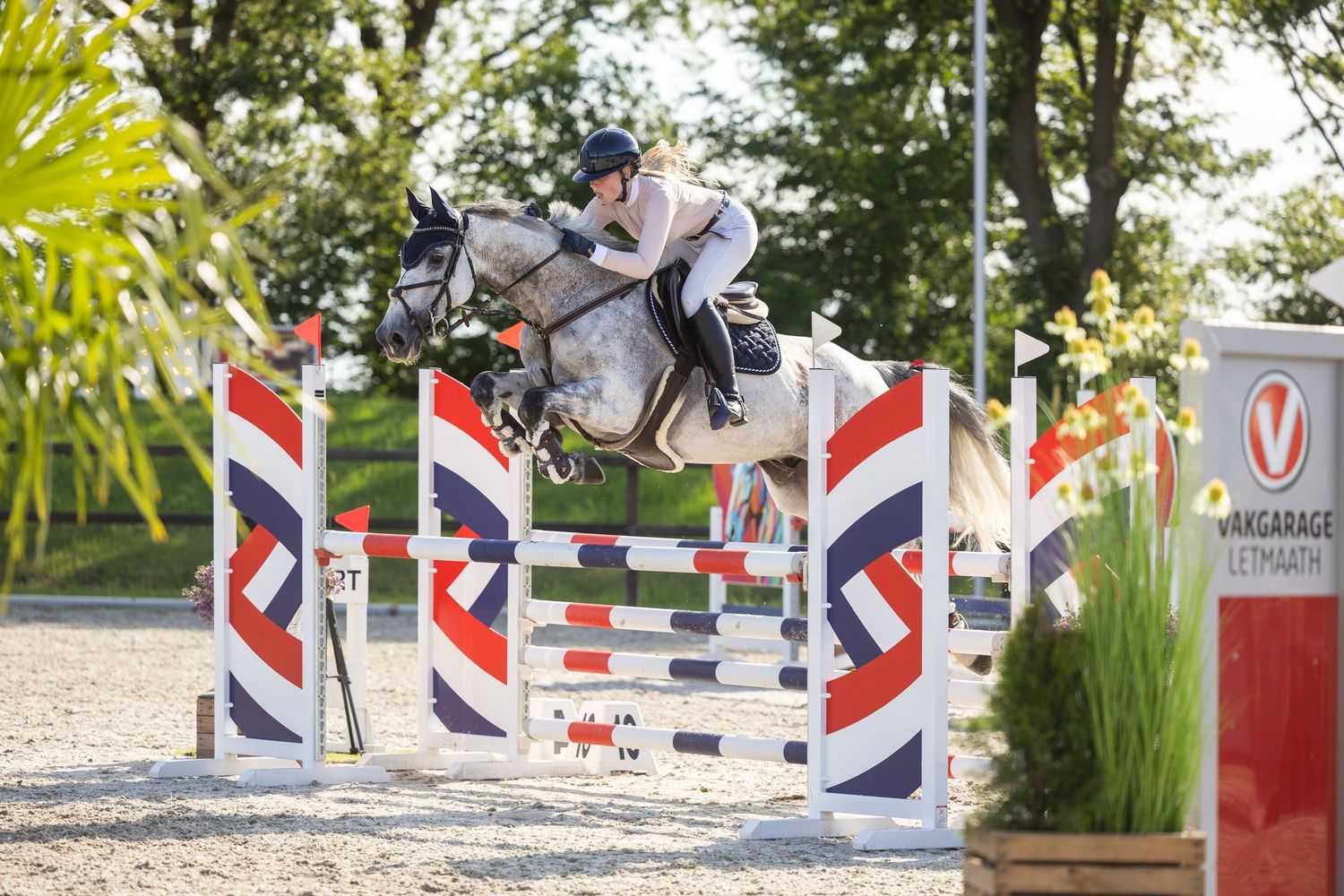 Equestrian rider on grey horse jumping over red and white striped show jumping fence at outdoor competition.