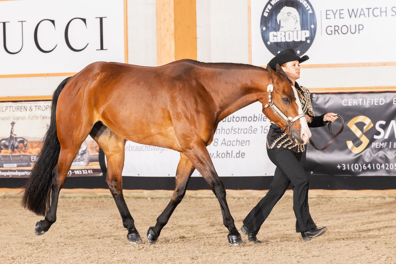 Horse and handler demonstrating showmanship skills in an indoor arena setting.