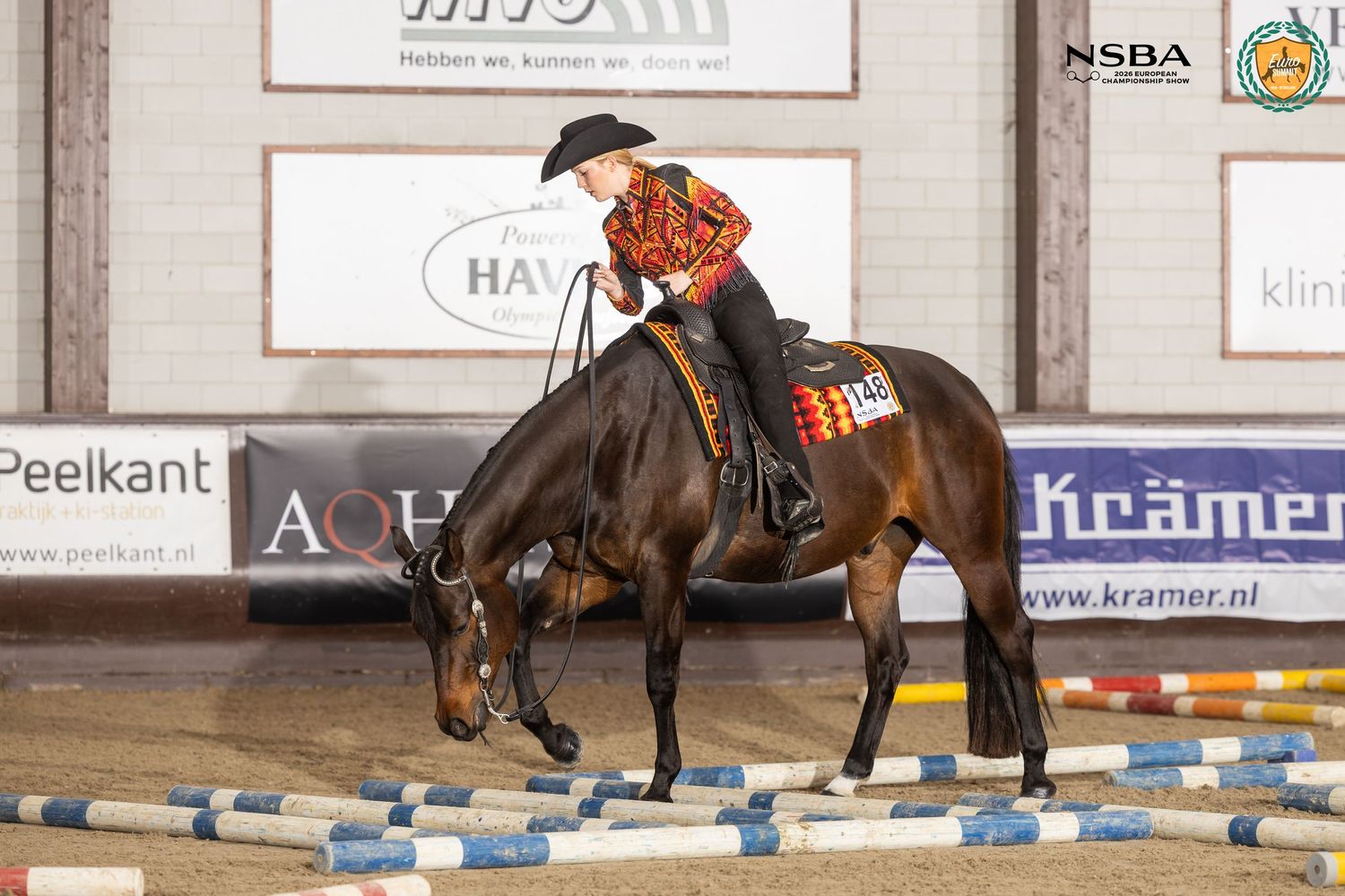 Rider on bay horse performing reining pattern at NSBA indoor equestrian competition with colorful arena markers.