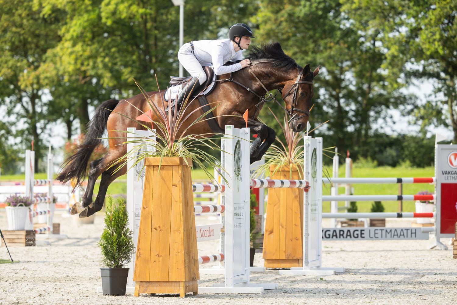 Horse and rider jumping over fence obstacle at outdoor equestrian show jumping event.