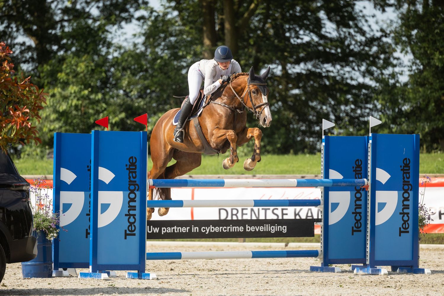 Equestrian show jumping competition with rider on chestnut horse clearing blue fence barriers outdoors.
