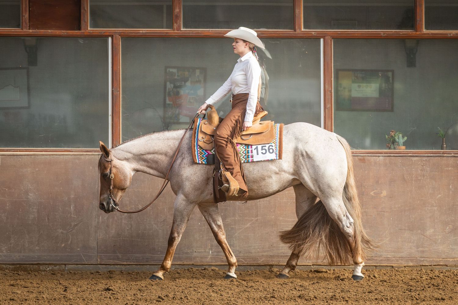 A female rider in western attire on a palomino horse competing in an indoor equestrian arena, wearing number 50.