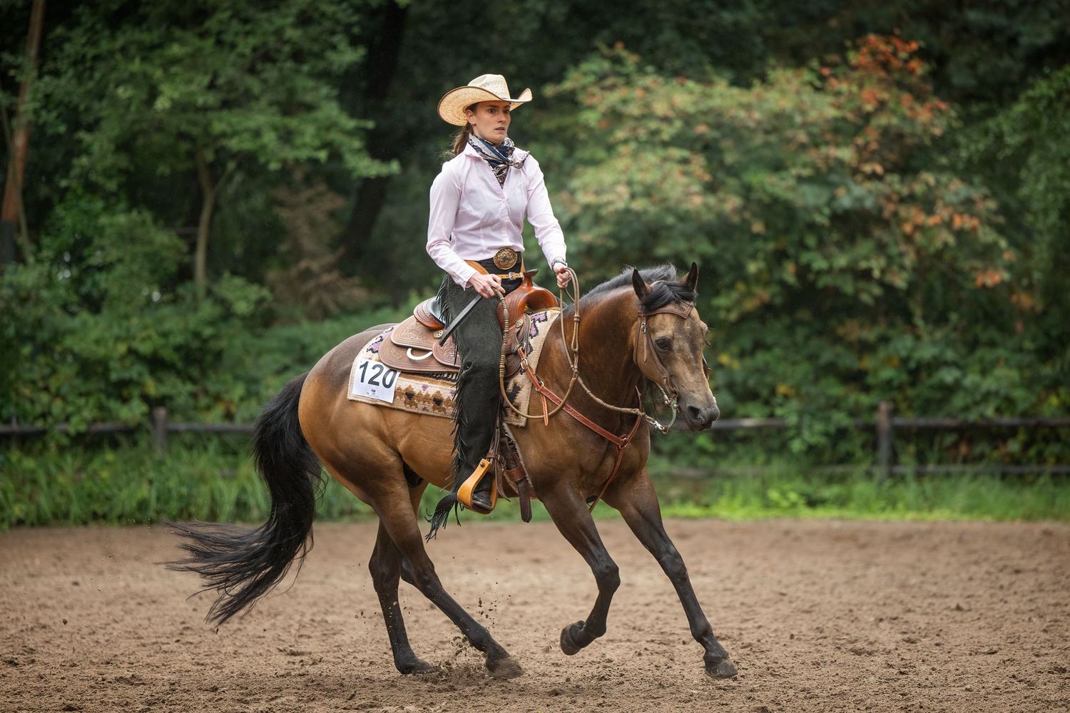 Horses and riders training in outdoor arena surrounded by green foliage.
