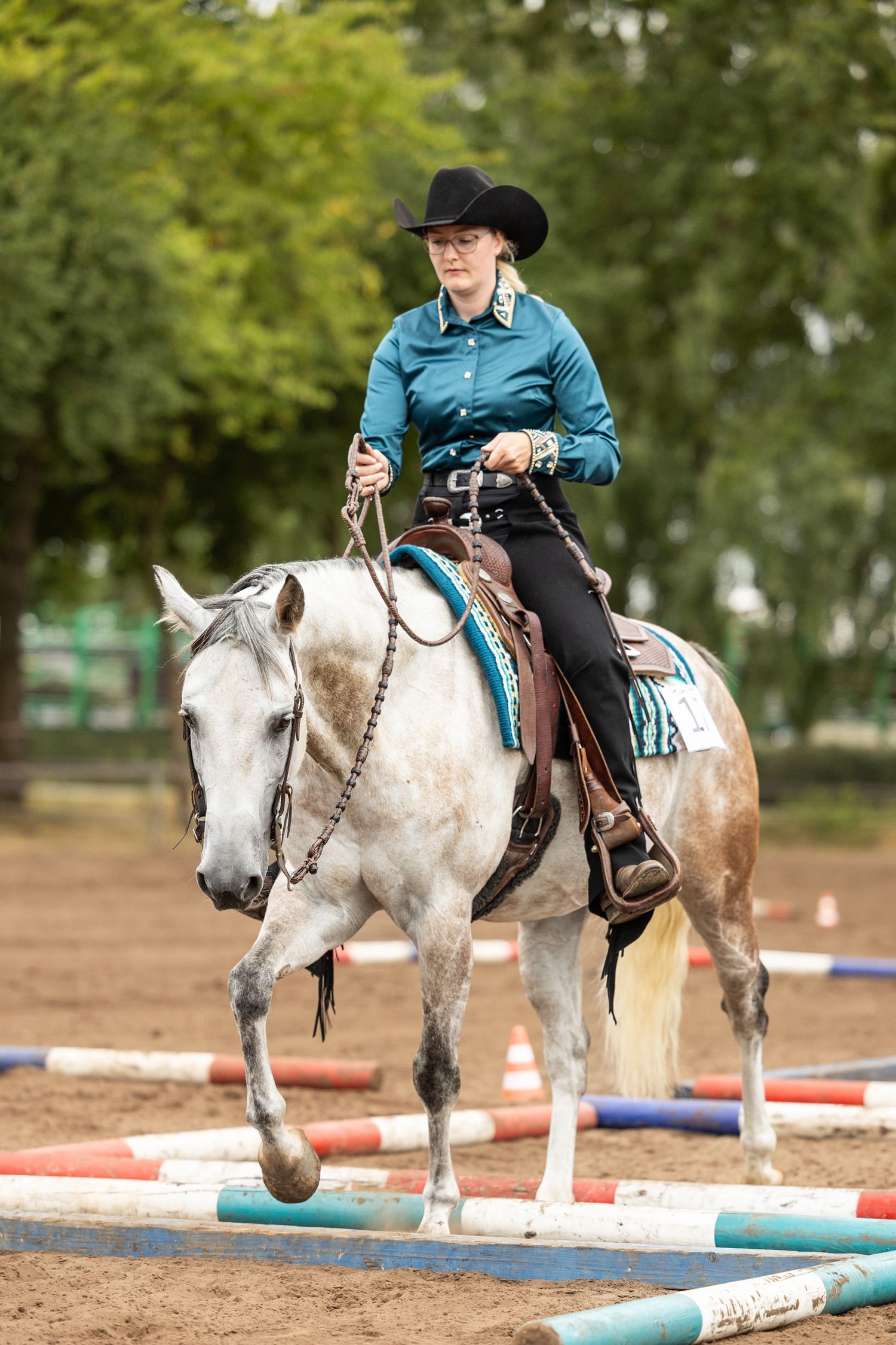 A grey horse jumps over colorful poles during an EWU trail pattern
