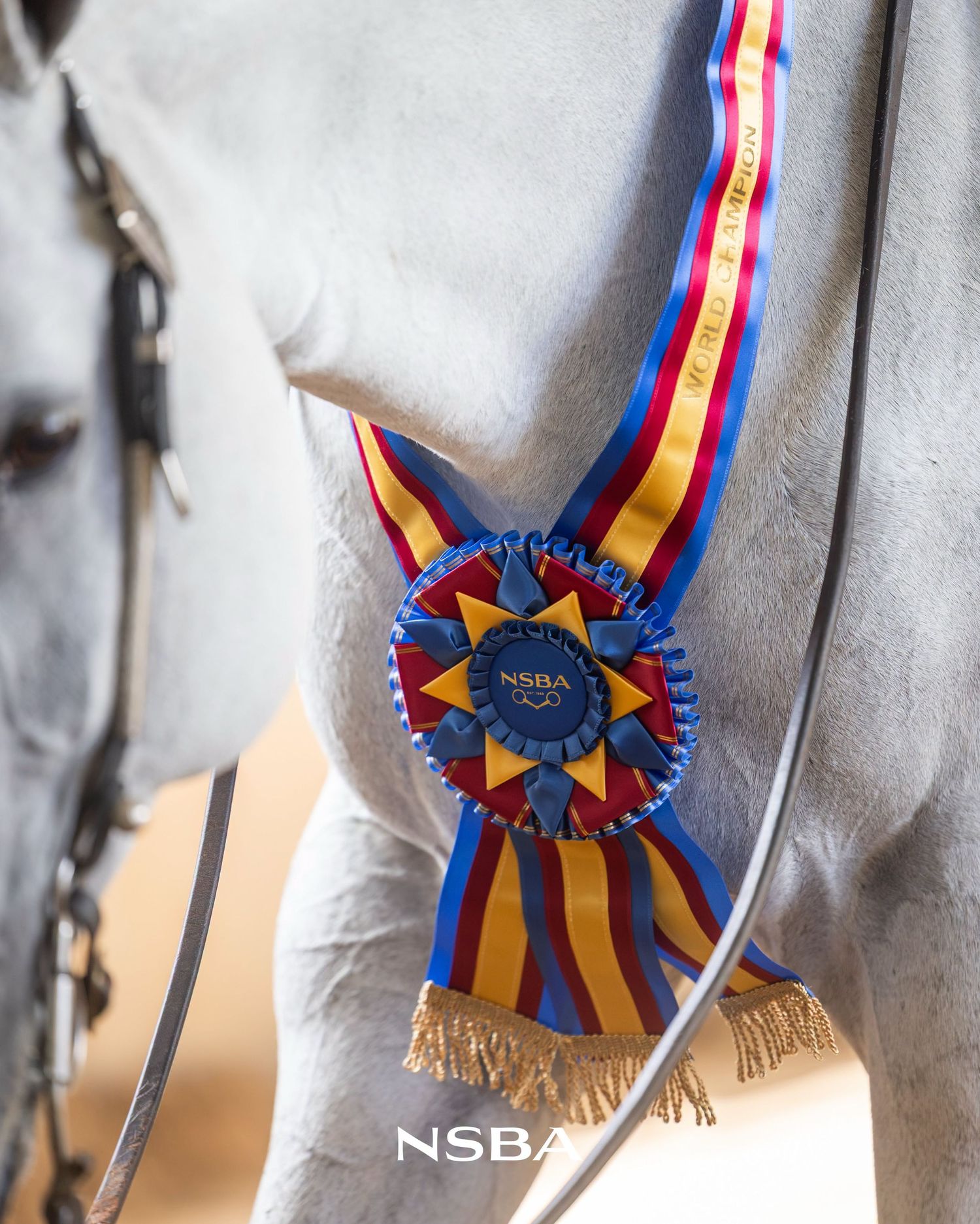 A blue and red NSBA award rosette ribbon displayed on a white horse at the NSBA World Show