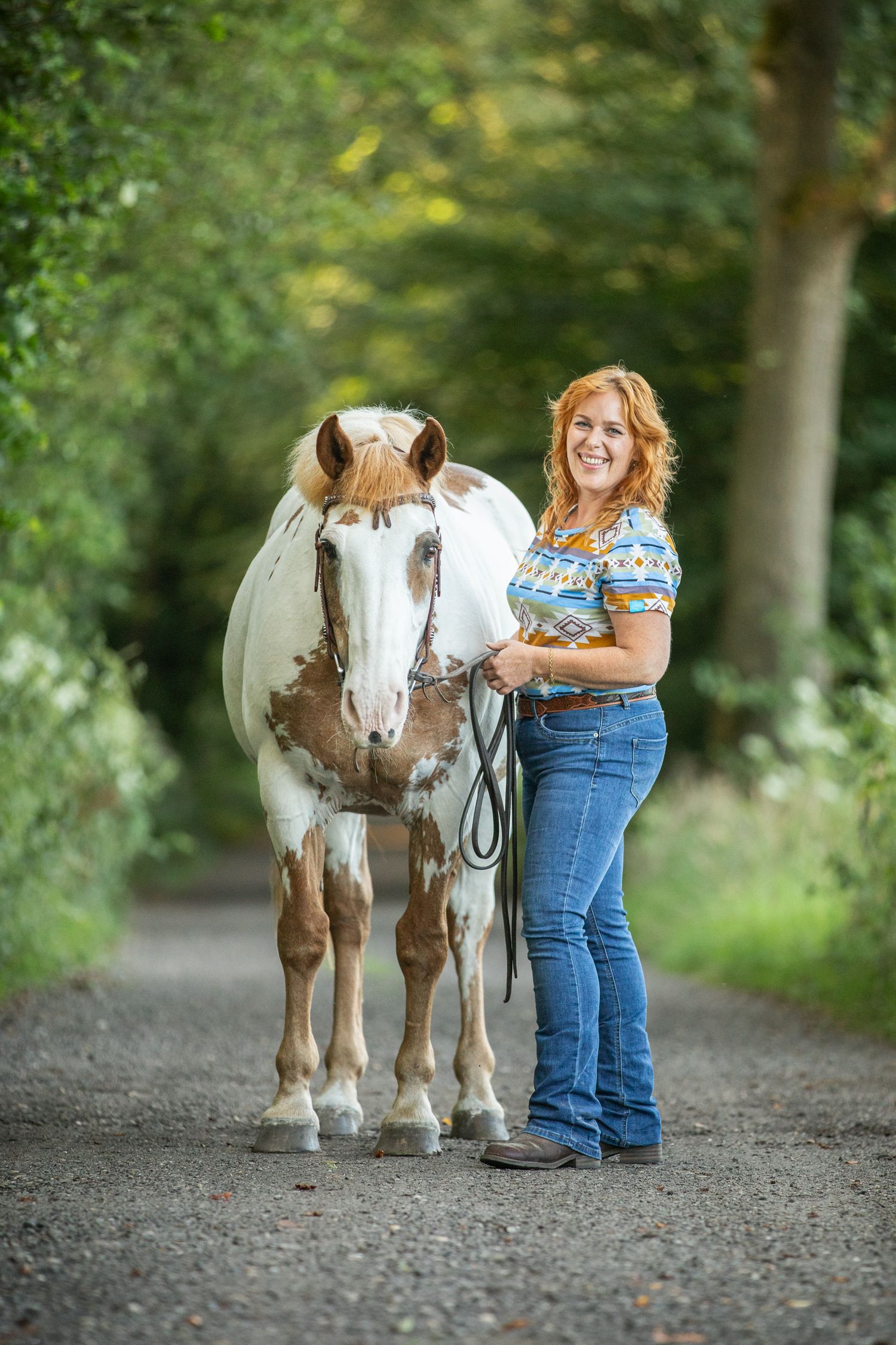 Paint horse standing on a wooded trail with handler.